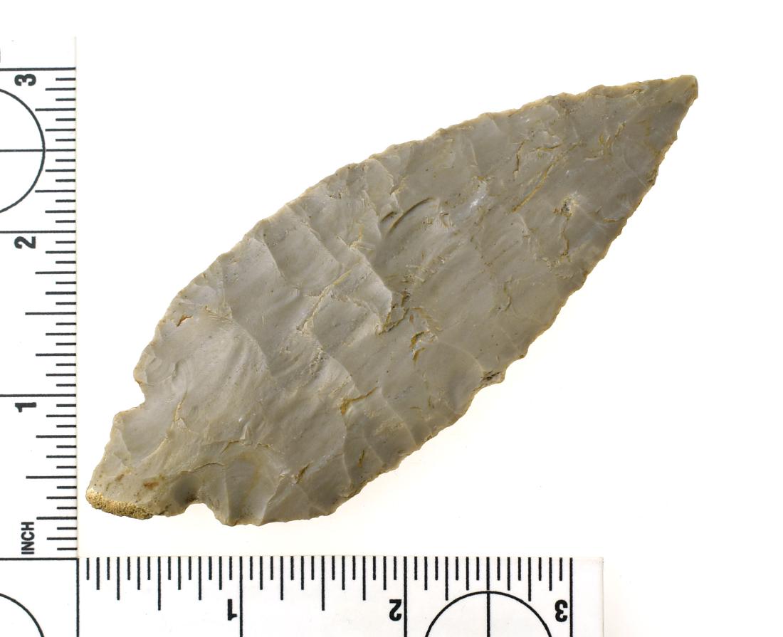 Ultra Thin 4 1/2" Turkeytail - Jackson G-9 COA: Fulton variety. Made of streaked multicolored gray Harrison County Chert and found in Harrison Co., Indiana. Extra fine example with great eye appeal. Flaked from the rind evident on the basal tip as 