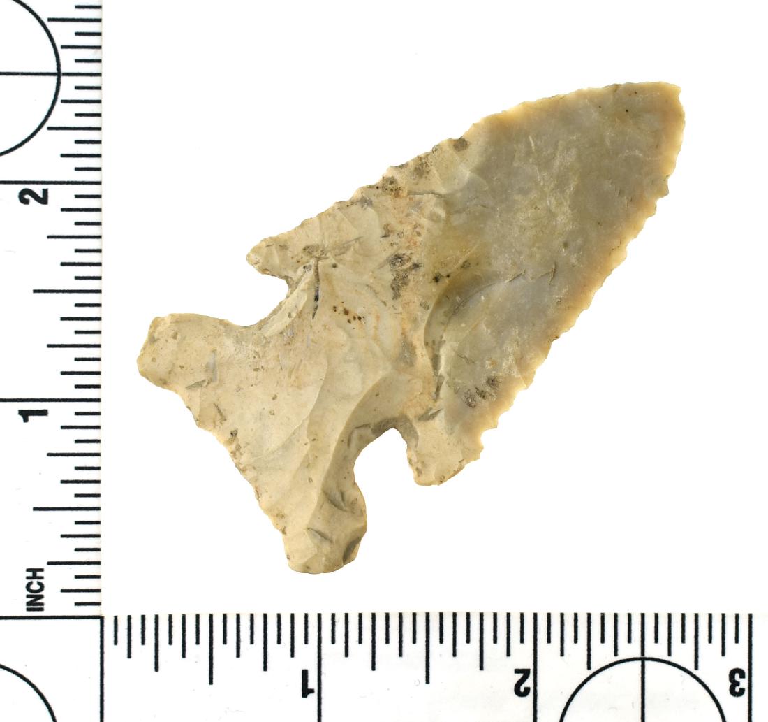 2 13/16" Thebes - Rogers COA: Southern Ohio example. Mottled Chert. Rogers COA.