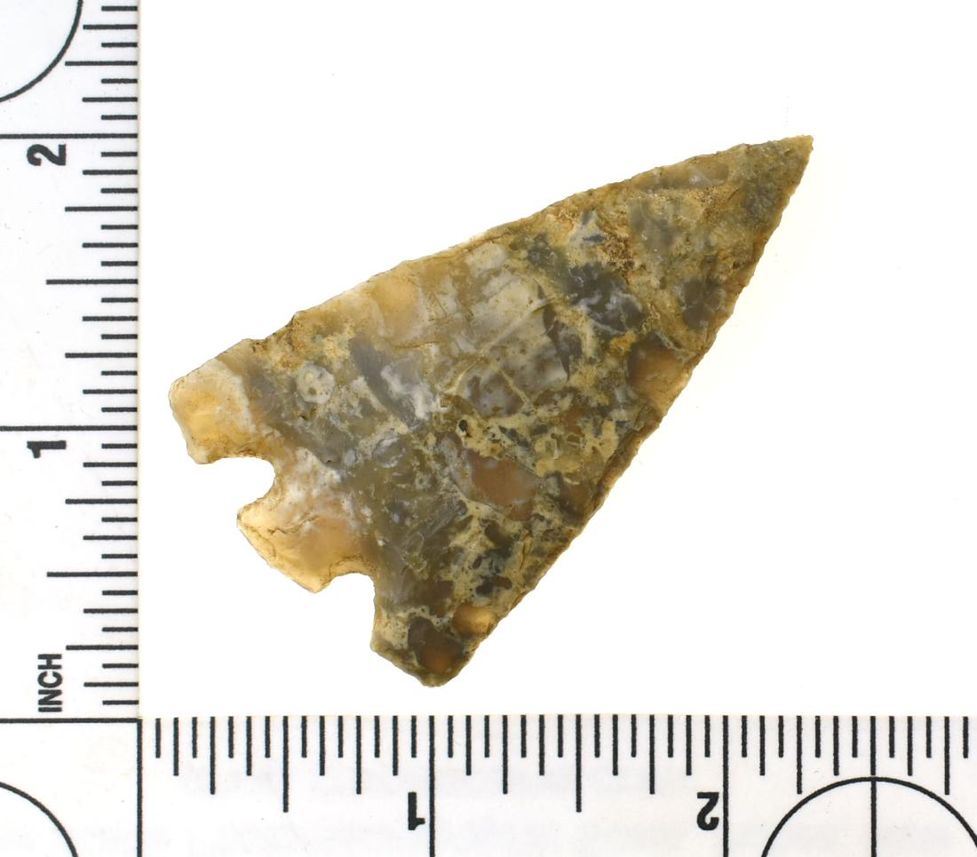 Colorful 2 3/8" Hernando - Son Anderson COA: Large for the type. Great form, symmetry, and eye appeal. Made of a unique gold, cream, and yellow mottled Florida chert with lots of translucency. Found in Central Florida.Ex- Col. John Berner and Ri