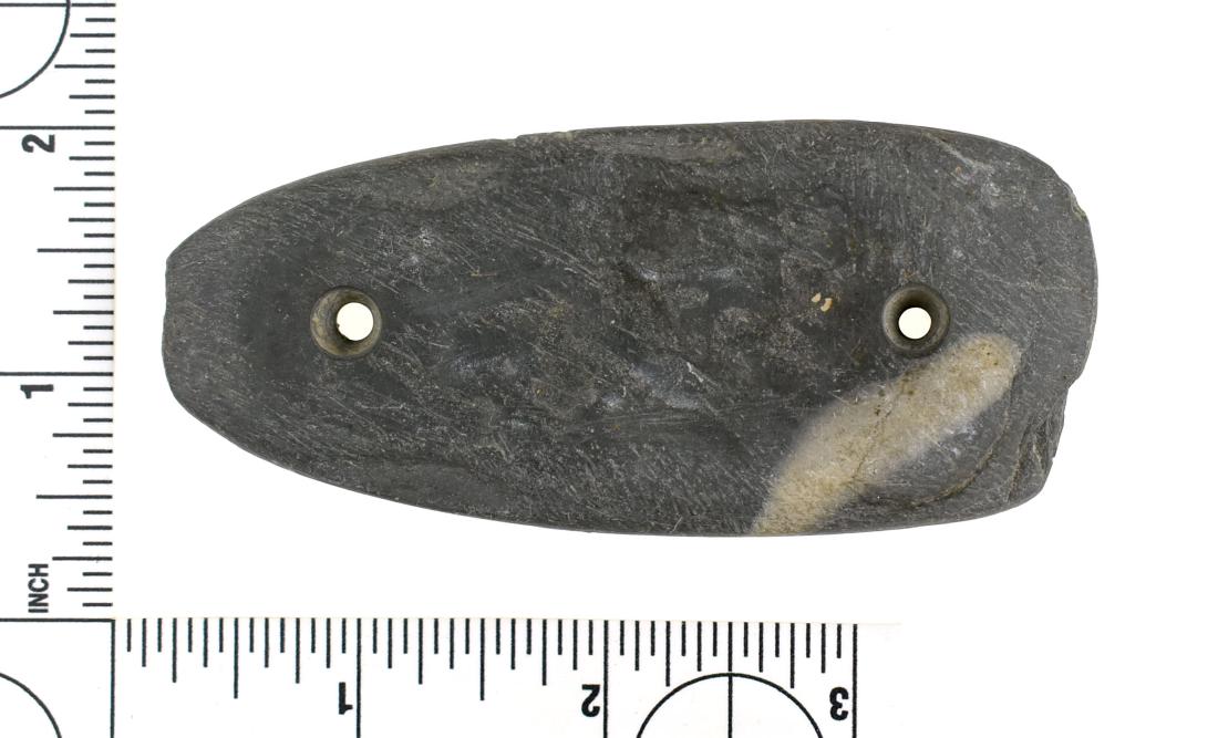 3 11/16" Adena Gorget: Nice grey slate example from Darke Co., Ohio. Ex Frank Adell Collection.