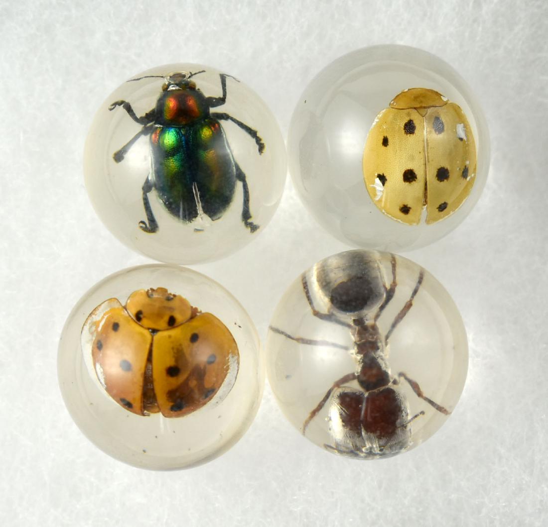Encased Insect Marbles: Unusual lot of 4 resin marbles with insects trapped. Cool!