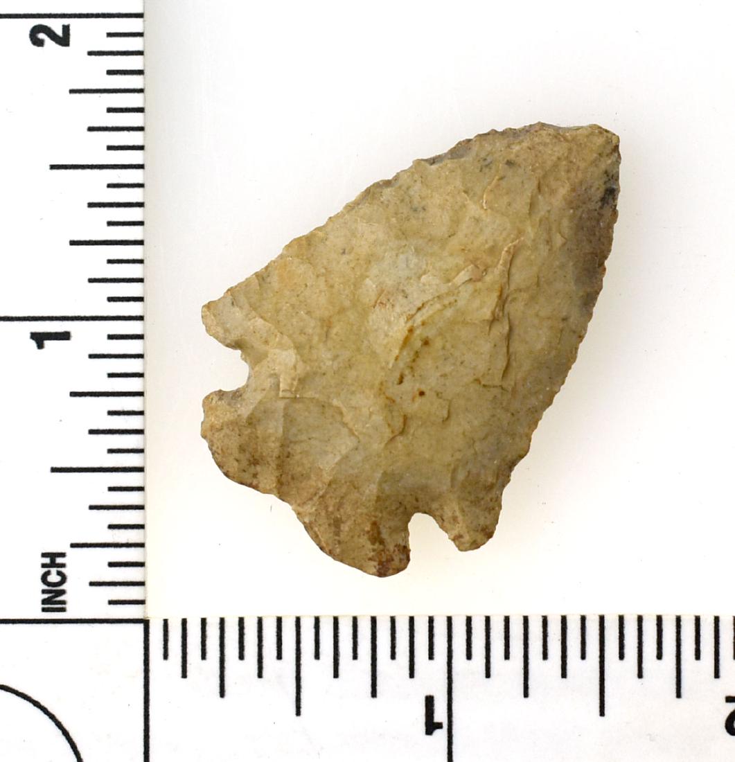 Nice 1 3/4" Pinetree: Great symmetry. Made of extremely well patinated glossy Fort Payne chert. Appears to have been repointed (in our opinion in ancient times by a later aboriginal) which some may confuse with rechipping.