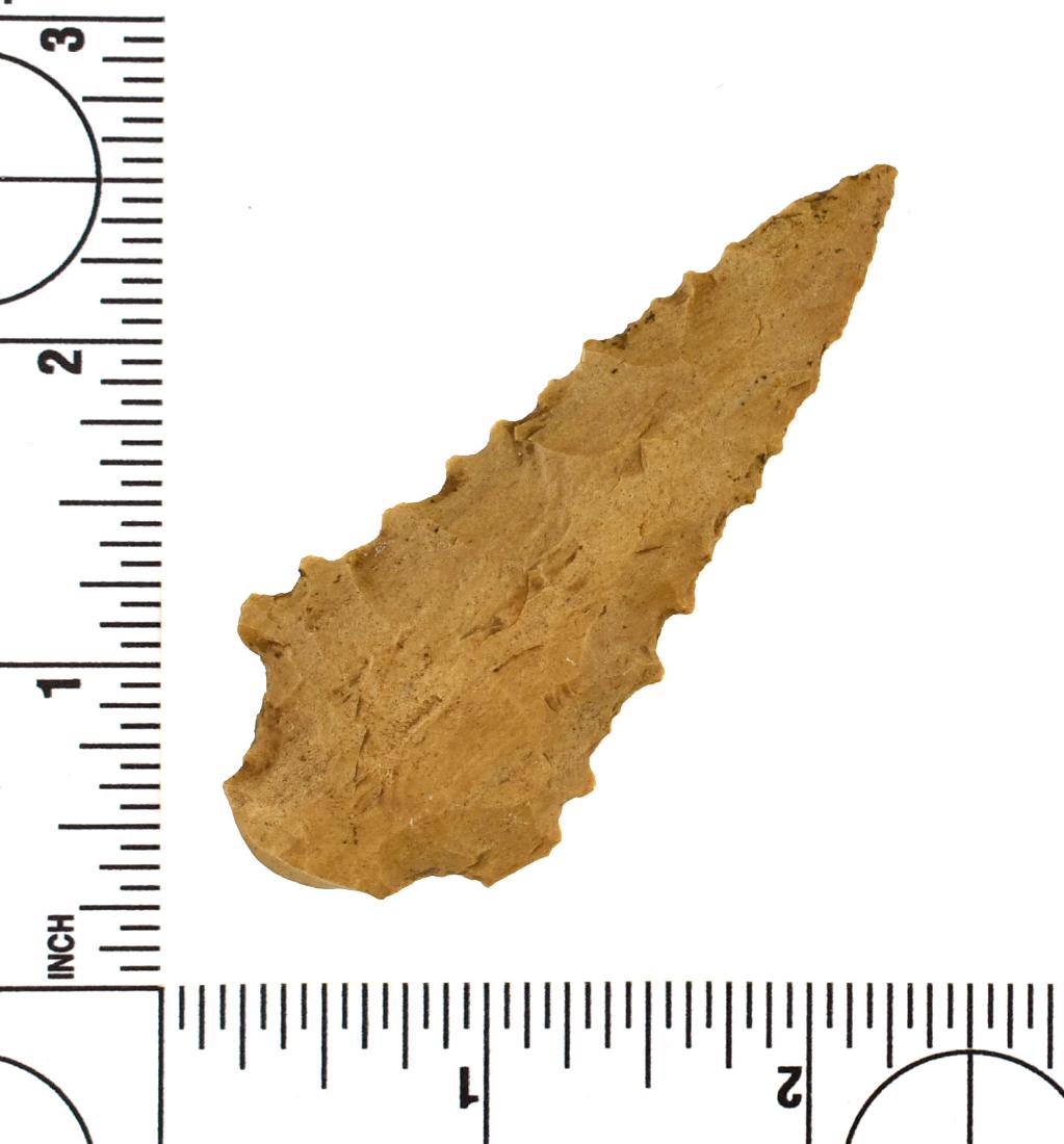 2 7/8" Kirk Serrated: Classic example in Camden/Fort Payne Chert from Clifton, Tennessee. Ex Carlisle Collection. Snapped base example.