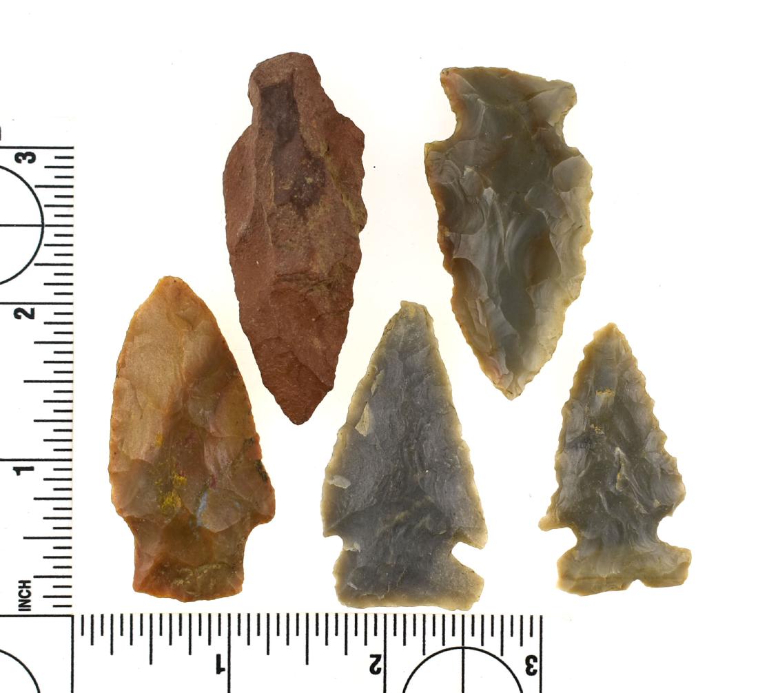 5 Fine Colorful Kentucky Arrowheads: Mostly all Carter Cave flint examples with excellent color. Largest measures 2 3/8" long. All from Montgomery Co., Kentucky.