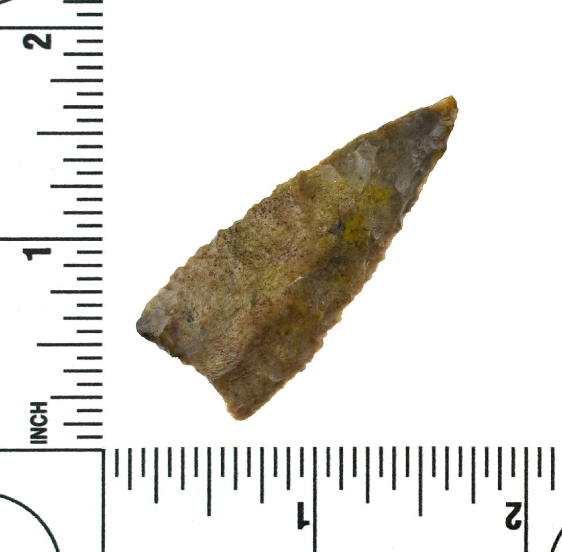 1 13/16" Meserve - Stermer COA: Nice example from New Mexico in a brown chert. Stermer COA.
