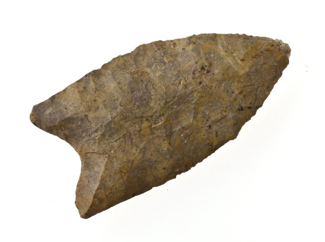 2 1/2" Louisiana Clovis (1 of 2)