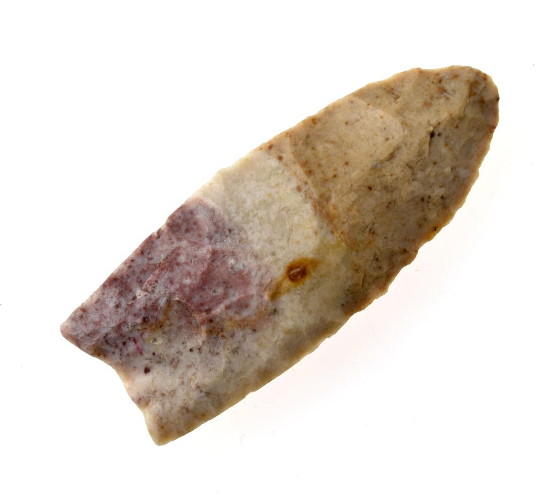 2 9/16" Clovis - Jackson & Putty COA's (1 of 2)