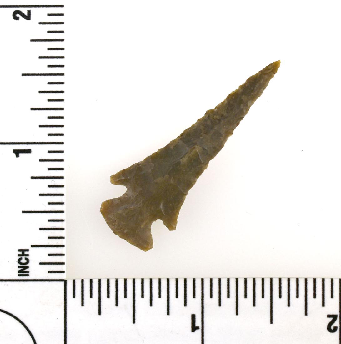 Extra Long 1 3/4" Scallorn (1 of 2)