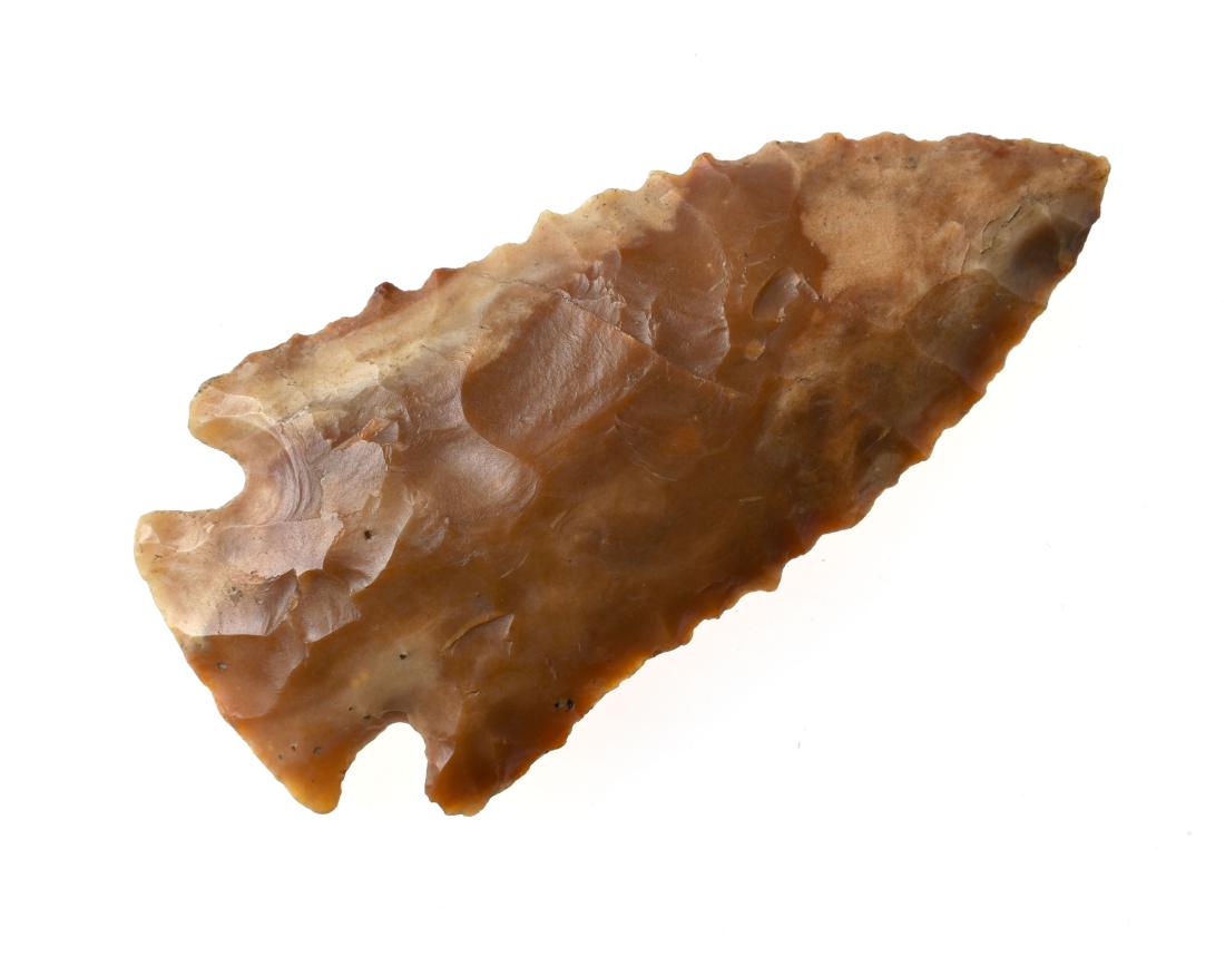 2 15/16" Pinetree (1 of 3)