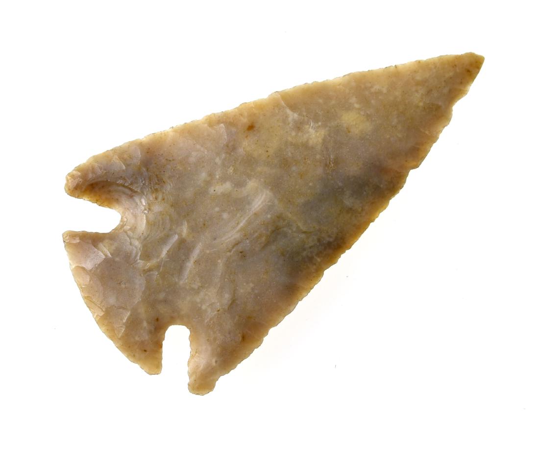 2 11/16" Marcos - Rogers COA (1 of 3)