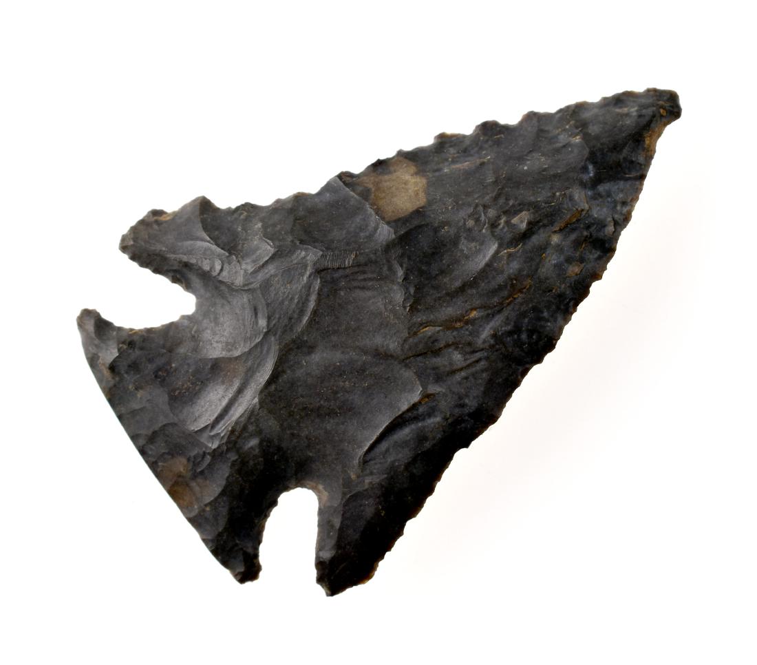 2 7/16" Lost Lake - Jackson COA (1 of 2)