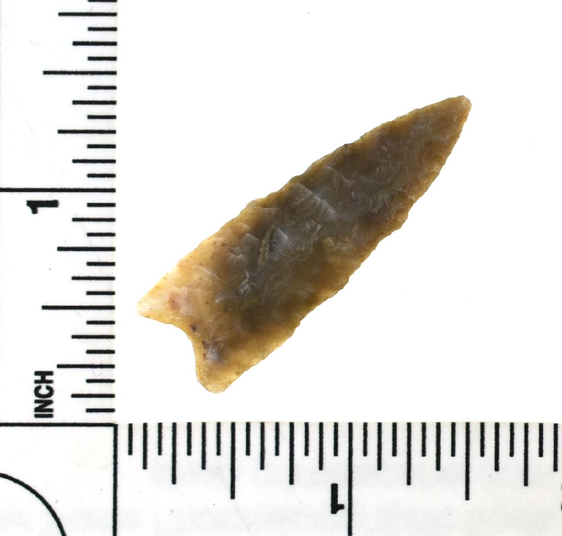 1 11/16" Plainview Dart (1 of 2)