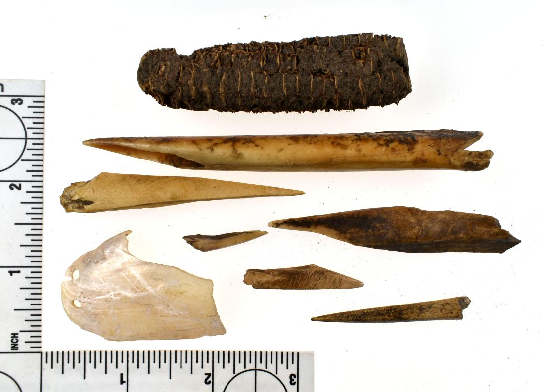 Variety of Bone, Shell, Perishable Artifacts: Bone Awls, Shell Pendant, Prehistoric Corn Cob.
