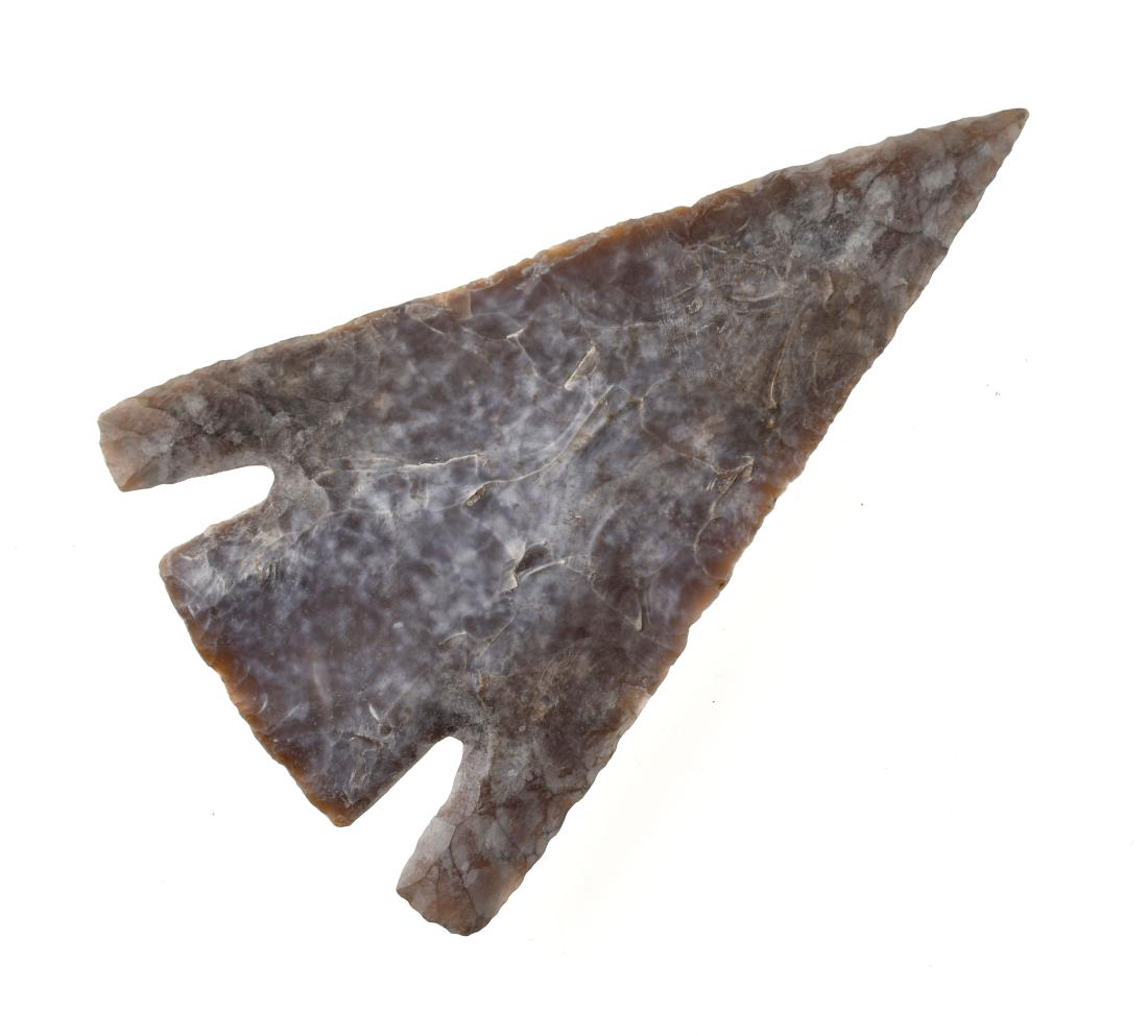 Huge 3 5/8" Castroville - Restored: Well patinated example with restored tip, ears, and portion of the base. Get a A $1,000.+ piece if intact! Blanched almost solid white on one side and a mottled root beer color on the other. Very impr