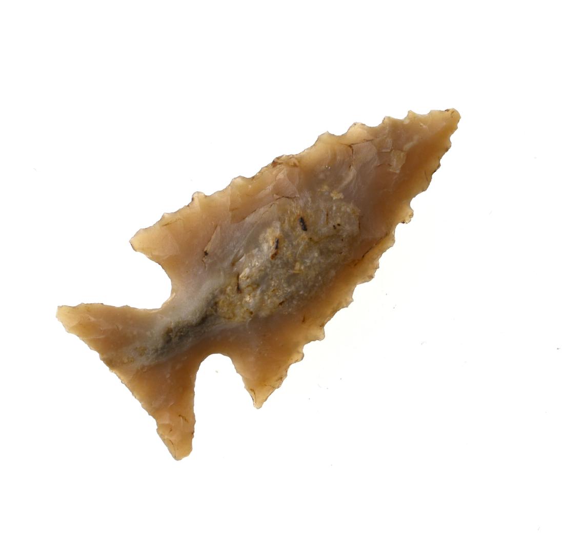 Outstanding 1 1/8" Scallorn: Finely serrated super thin highly translucent example from Central Texas. Ex- Meyer Collection.