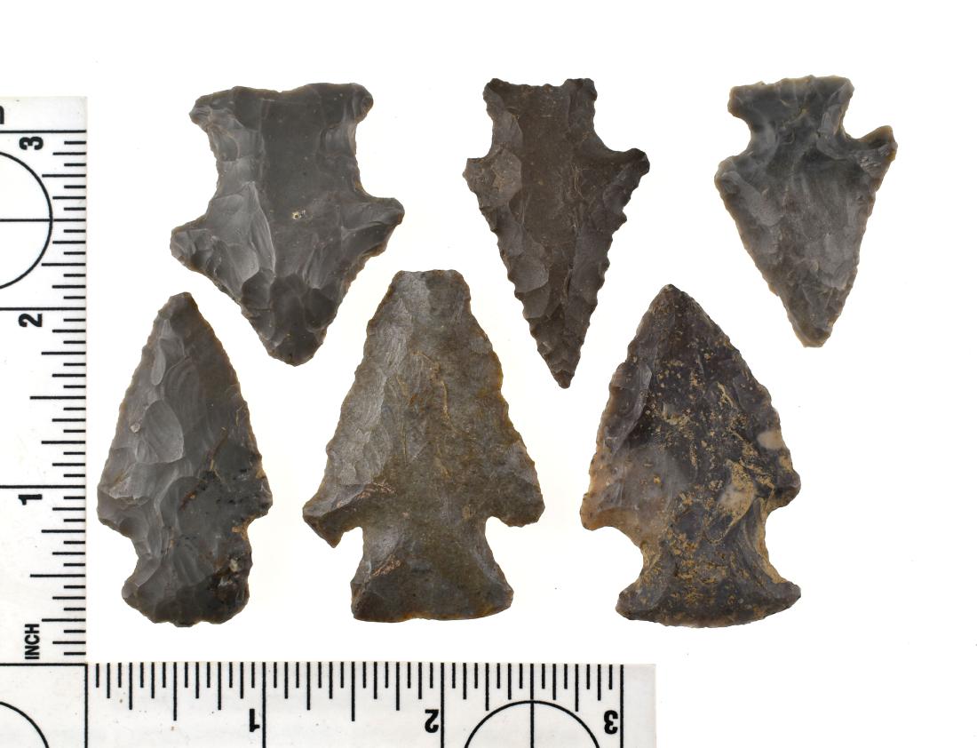 5 nice Hornstone Points: Variety of Archaic and Woodland points from Central Kentucky. Hardin, Kirk, Snyders, etc.