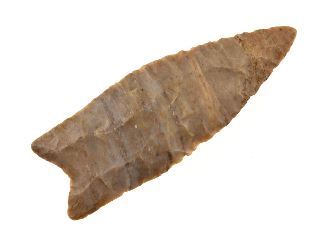 Superb 3 5/8" Clovis - Jackson G-10 COA: Made of extra pretty well patinated banded Paoli Chert. Fluted 50% on one side and 40% on the other. Ultra thin with great flaking and great eye appeal. Posey Co., Indiana. Ex- Will Gibson Collection.