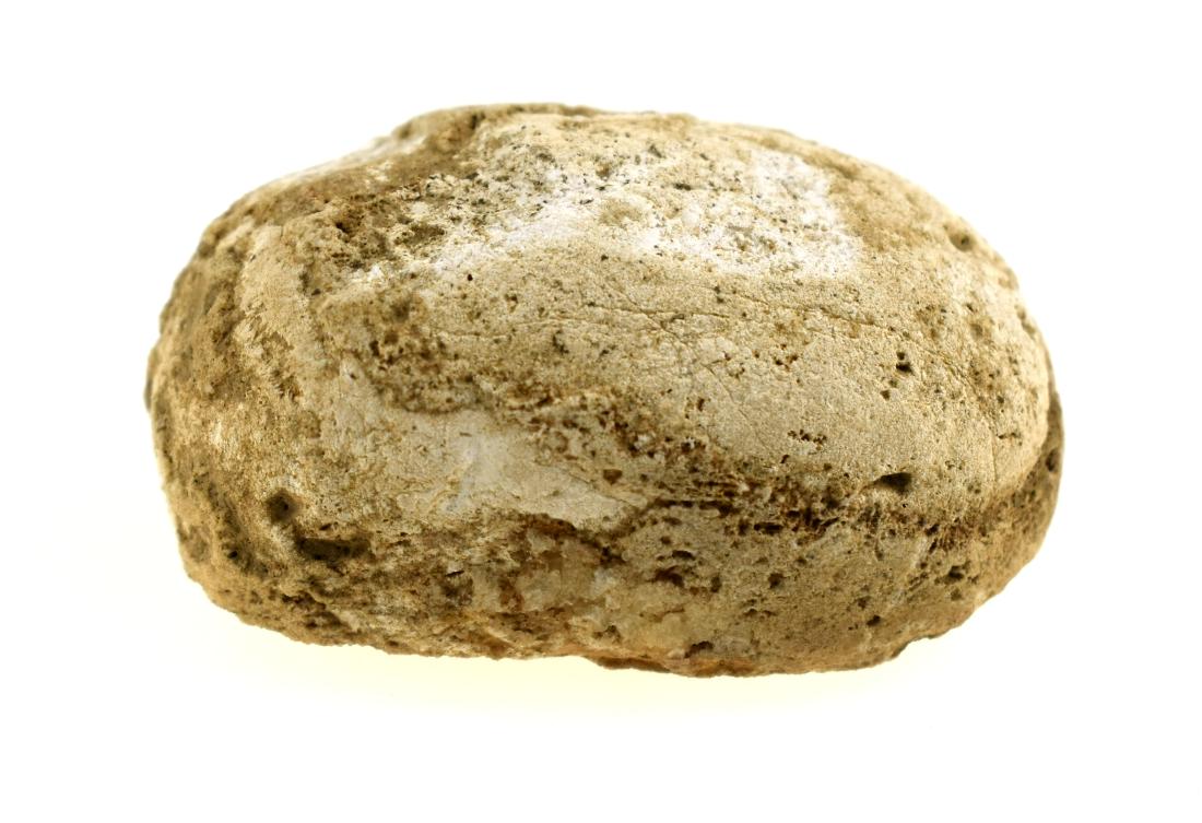 2-1/16" Galena Loafstone: Excellent example found by Sandra Barnett at a site off Aiken Road in Woodford Co., Kentucky in April of 1996.