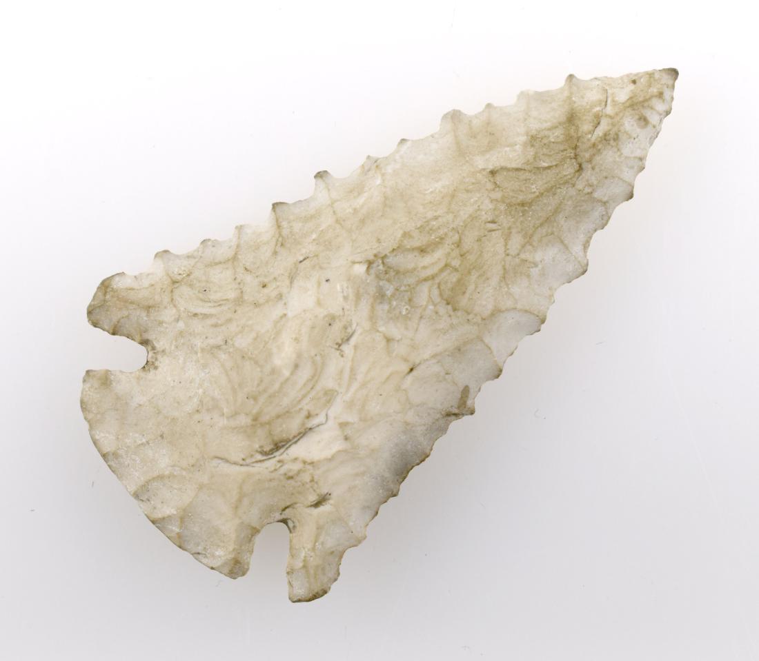 2 1/2" Indiana Pinetree: Super serrations, great flaking, very thin, and a needle sharp tip to boot! Found in Harrison Co., Indiana.