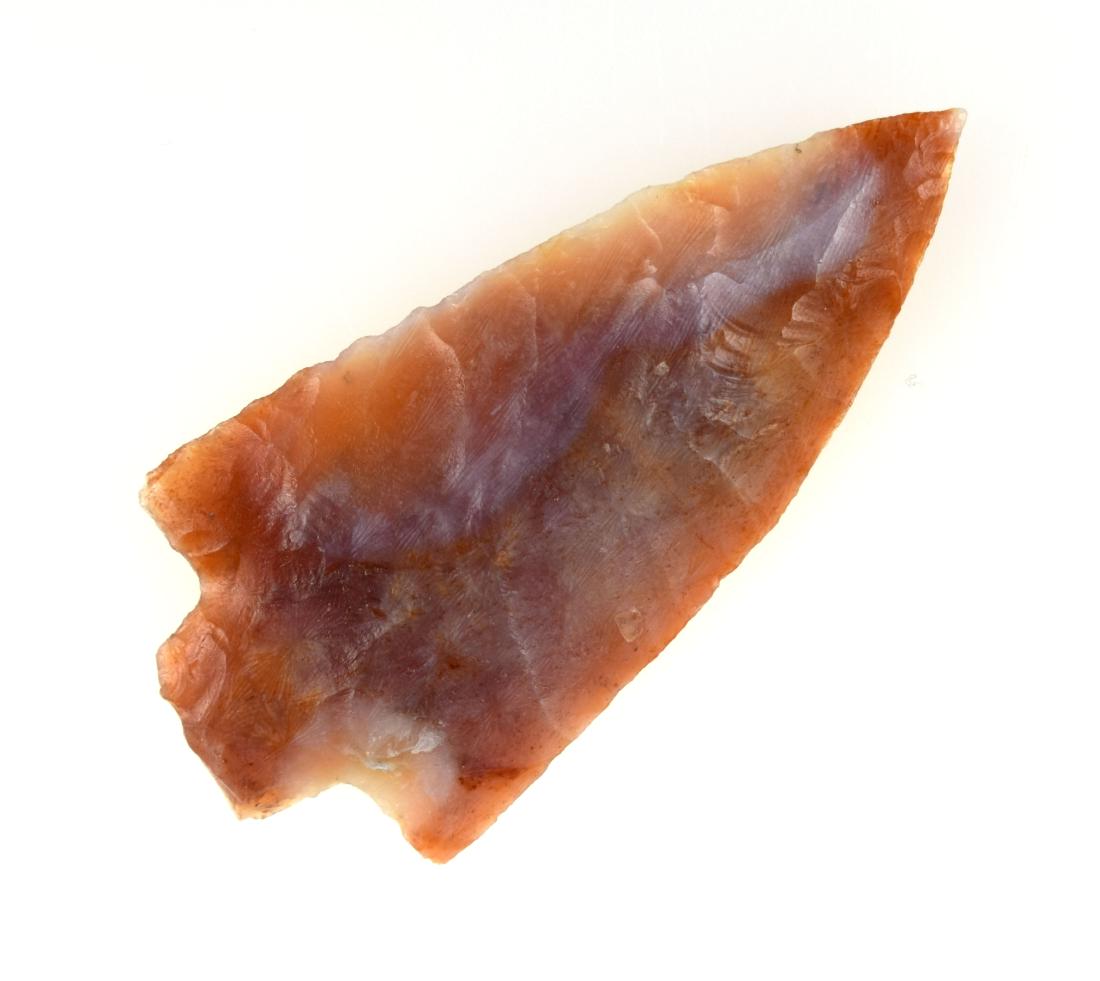 2-3/8" Marion - Cox G-9 COA: Gorgeous Agatized Coral example from Orange Co., Florida. Sam Cox G-9 COA.