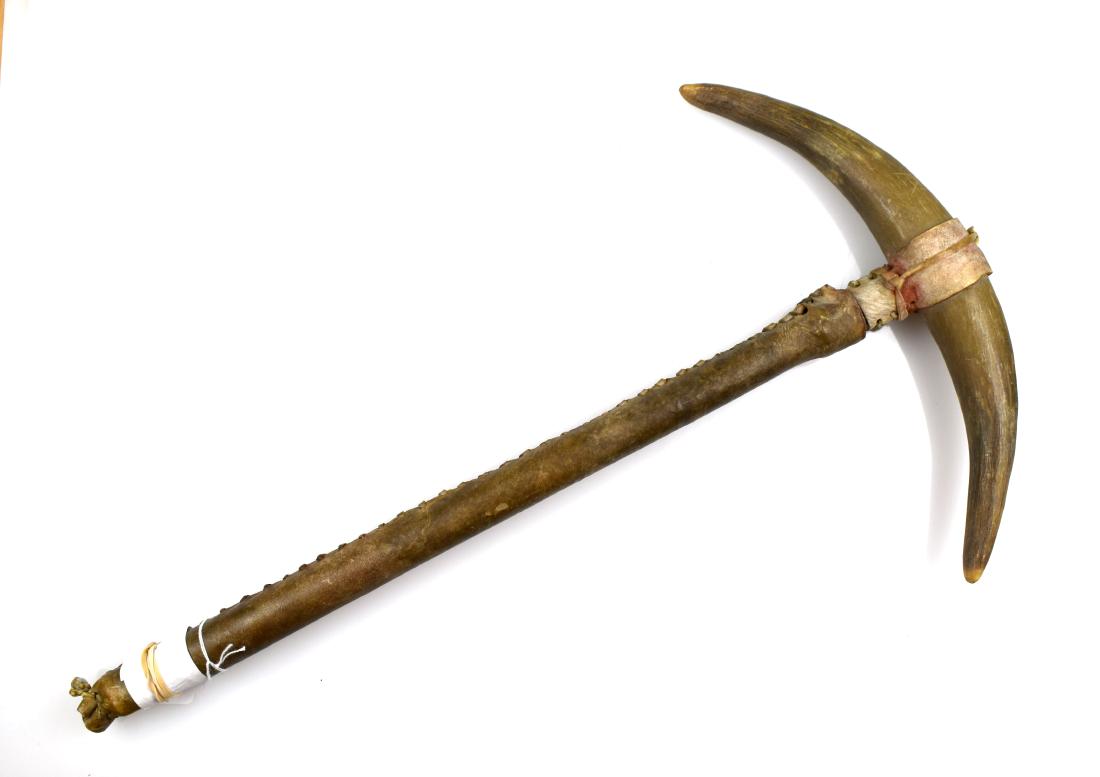 19" Sioux Dance Wand - (1890-1940): Nice example with cow horn. Rawhide handle, drops have been removed. 1890-1940 probably age.