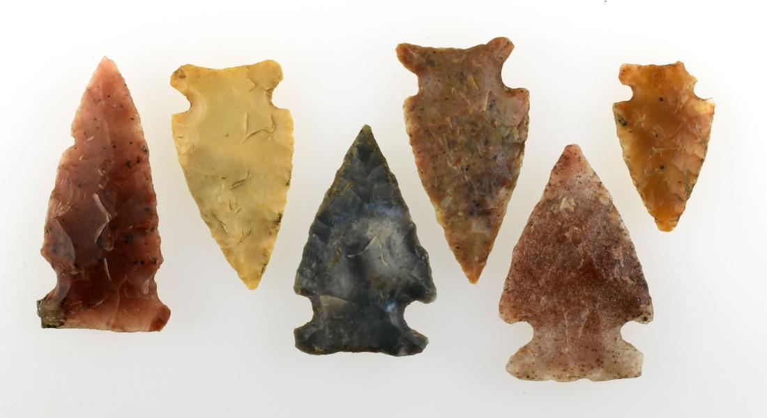 6 Excellent Montana Points: Side Notch and Corner Notched types in this lot. Agates, flints, and quartzite materials. Great buy!