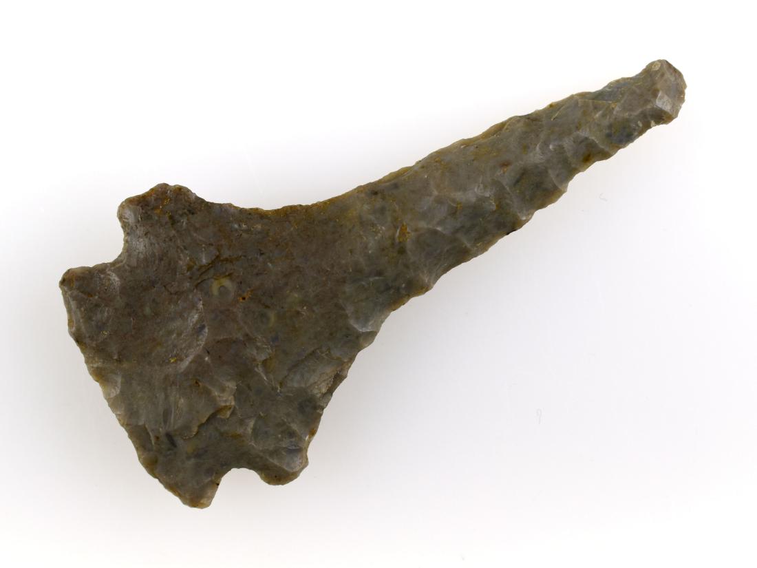 2-5/8" Drill: Overton Co., Tennessee example in a fossil laden gray flint. Ex Mynning Collection.