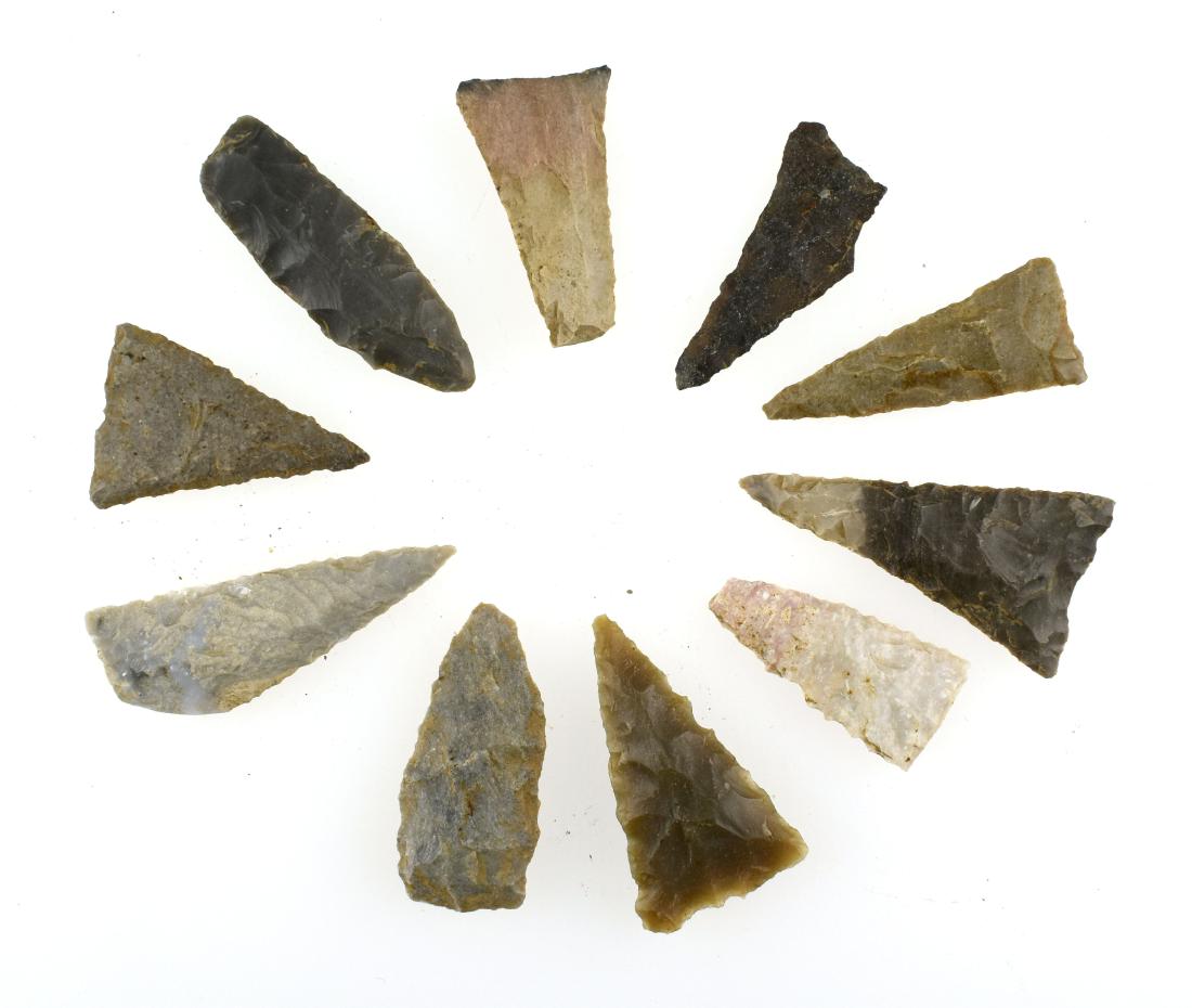 10 Kentucky Triangles: Largest measures 1-9/16" All found by Sandra Barnett in Woodford and Harrison Counties, Kentucky.