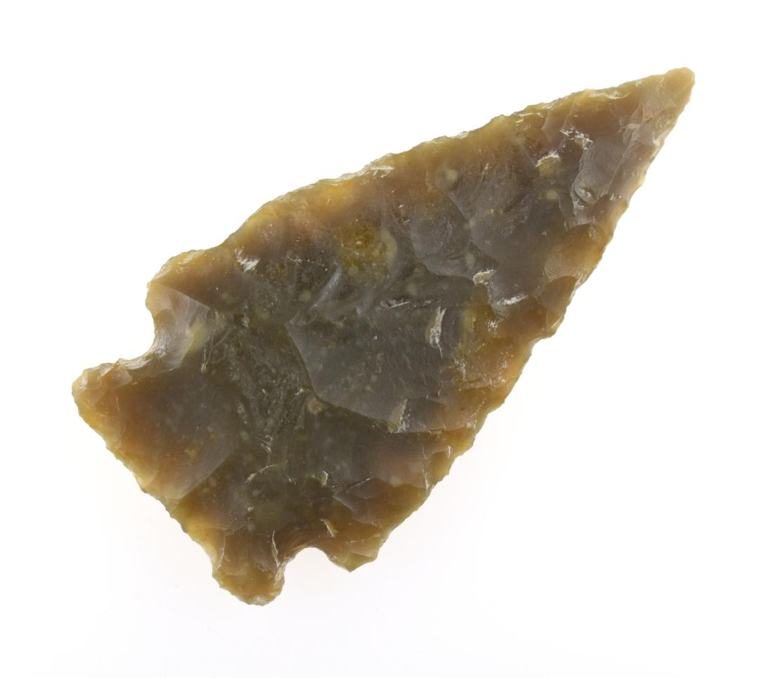 2" Besant - Sievers COA: Nice Root Beer Agate example from Wyoming. Ex Rousu Collection.