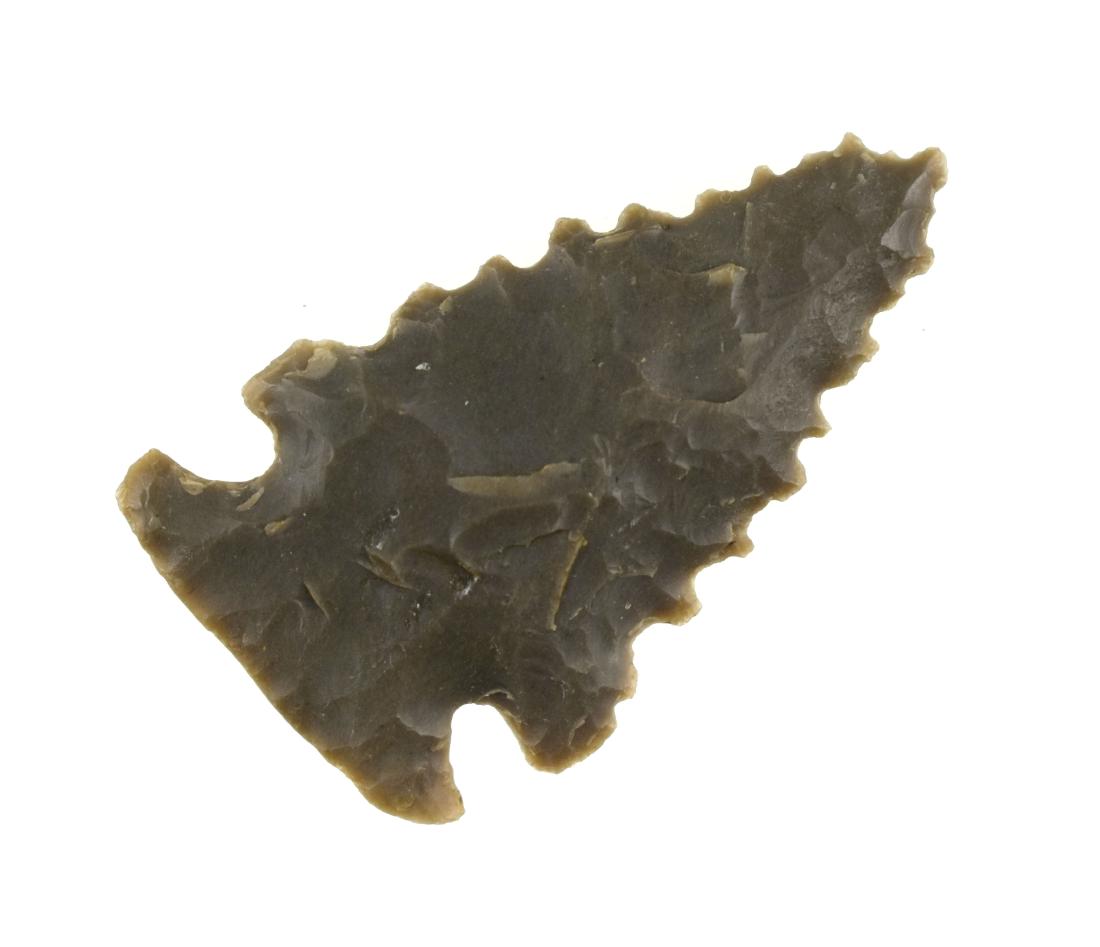 1-1/2" Palmer: Hornstone example from Kentucky formerly of the Mynning Collection. Nice serrated edges and polished basal edge.