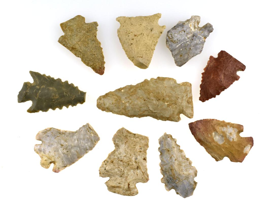 10 Kentucky Pinetree Fragments: All found in Woodford and Harrison Counties, Kentucky by Sanda Barnett in the 1990's/ Great for study or restoration.