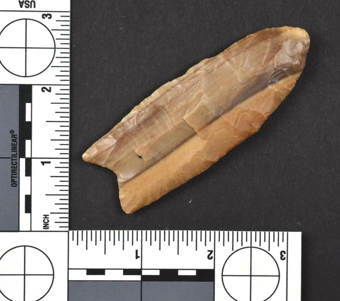Awesome 3 1/2" Kentucky Carter Cave Clovis - Jackson: Amazing vertically streaked Carter Cave Flint example from Rowan Co., Kentucky. Fluted 40% on both sides. Truly a showstopping highly collectible example. Jackson G-9 COA.