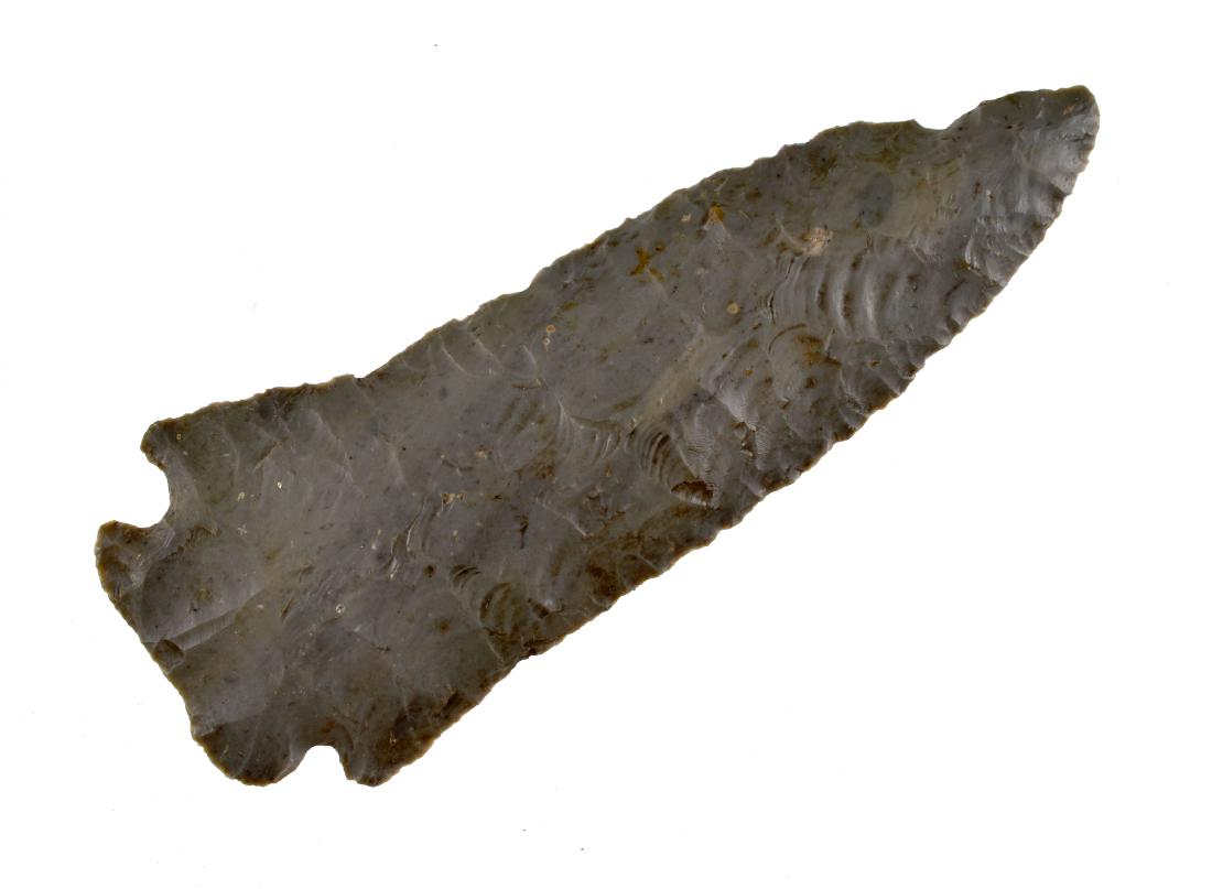 Extra Large 3 7/8" Lyon County Pinetree: Thin and excellent. Made of well patinated Hornstone with classic form. Found in Logan Co., Kentucky.