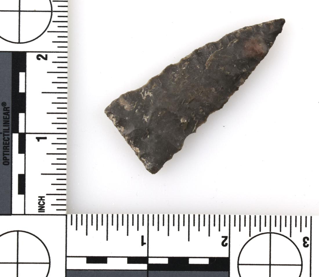 2-1/2" Texas Tortugas: Nice thin example from central Texas. Dark gray flint.