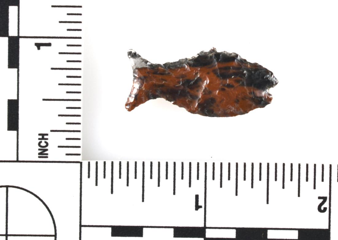 1-1/4" Fish Effigy: Mahogany Obsidian example from Yaeger Island on the Columbia River. Collected in the 1950's.