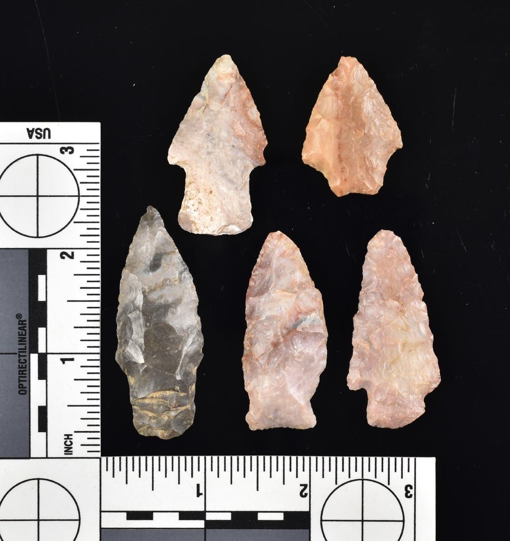 5 Central KY Arrowheads: Carter Cave, Fort Payne, Boyle Flints and Cherts from Central Kentucky. Pretty.