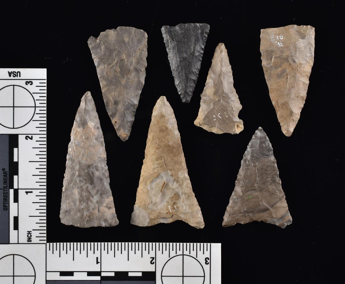 7 Nice Canadian Triangles: Mottled Flint from the Dr. Paul Park Collection. Longest is 2-1/2"
