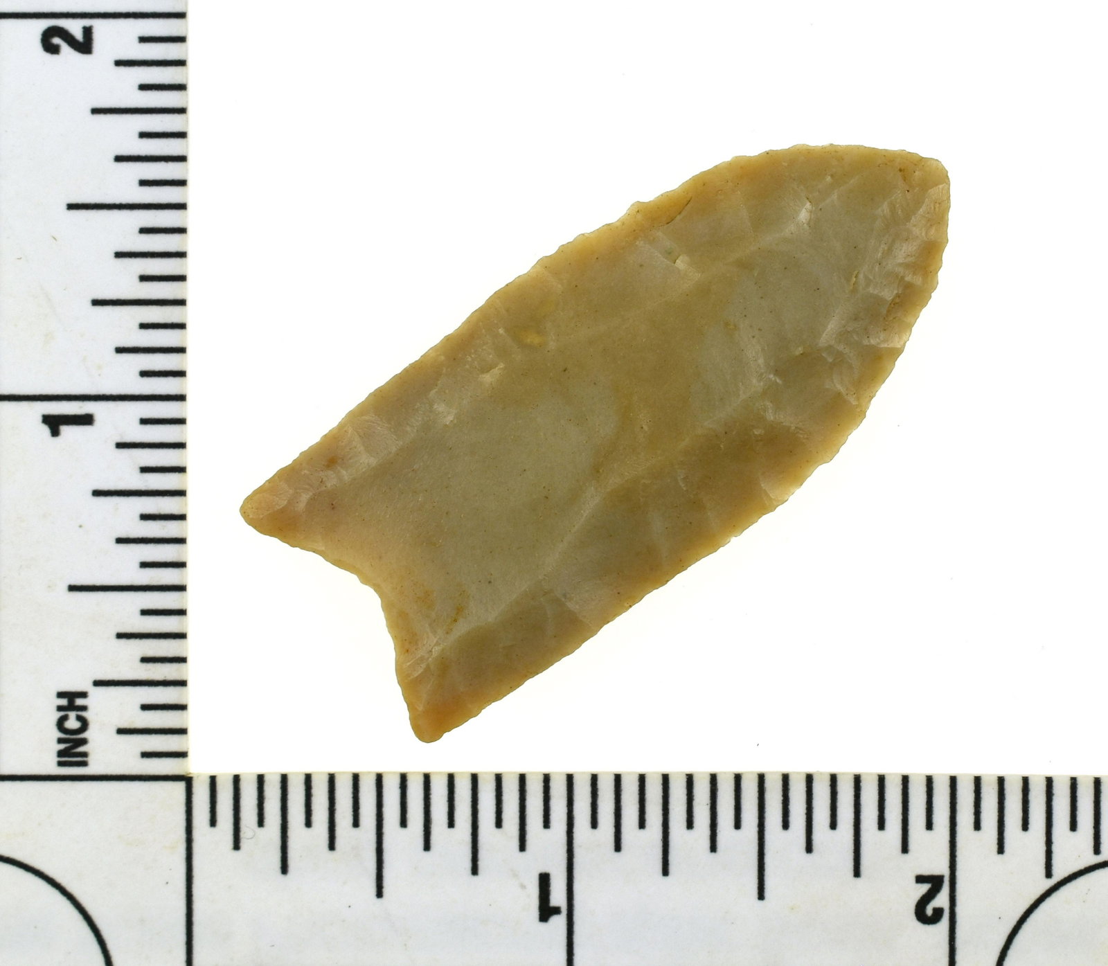 2" Carter Cave Clovis - Jackson G-10 COA: Somebody's find of a lifetime!!! Highly translucent high grade Carter Cave example from Wolfe Co., Kentucky. Ultra thin and fluted to the tip!! Truly a miraculous piece. Ex- Ben Eubank Collection.