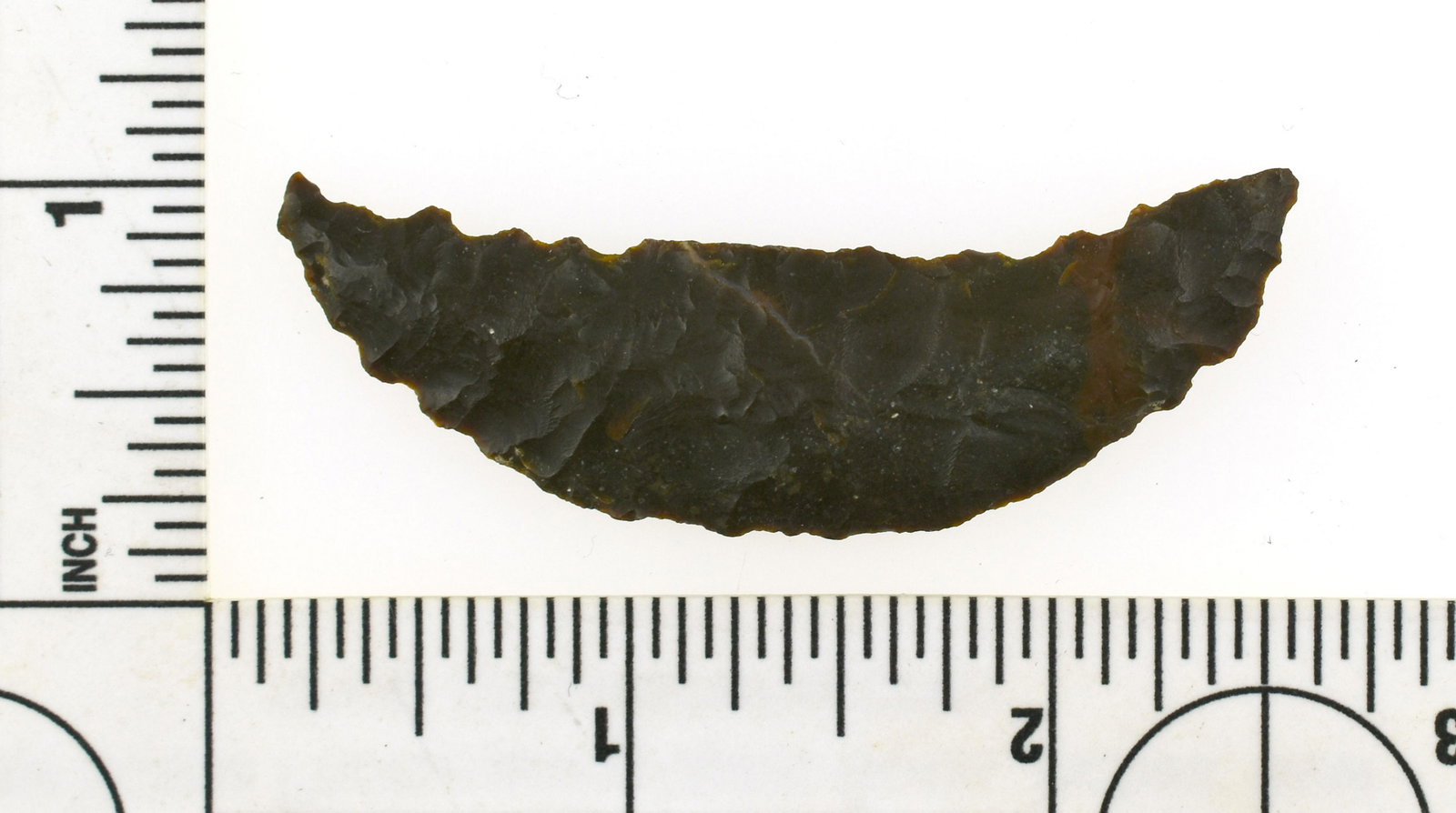 2-3/8" Serrated Paleo Crescent: Excellent example from the Robert Beckett Ranch Collection from Lassen Co., California. Highly unusual with the serrations making it more collectible.