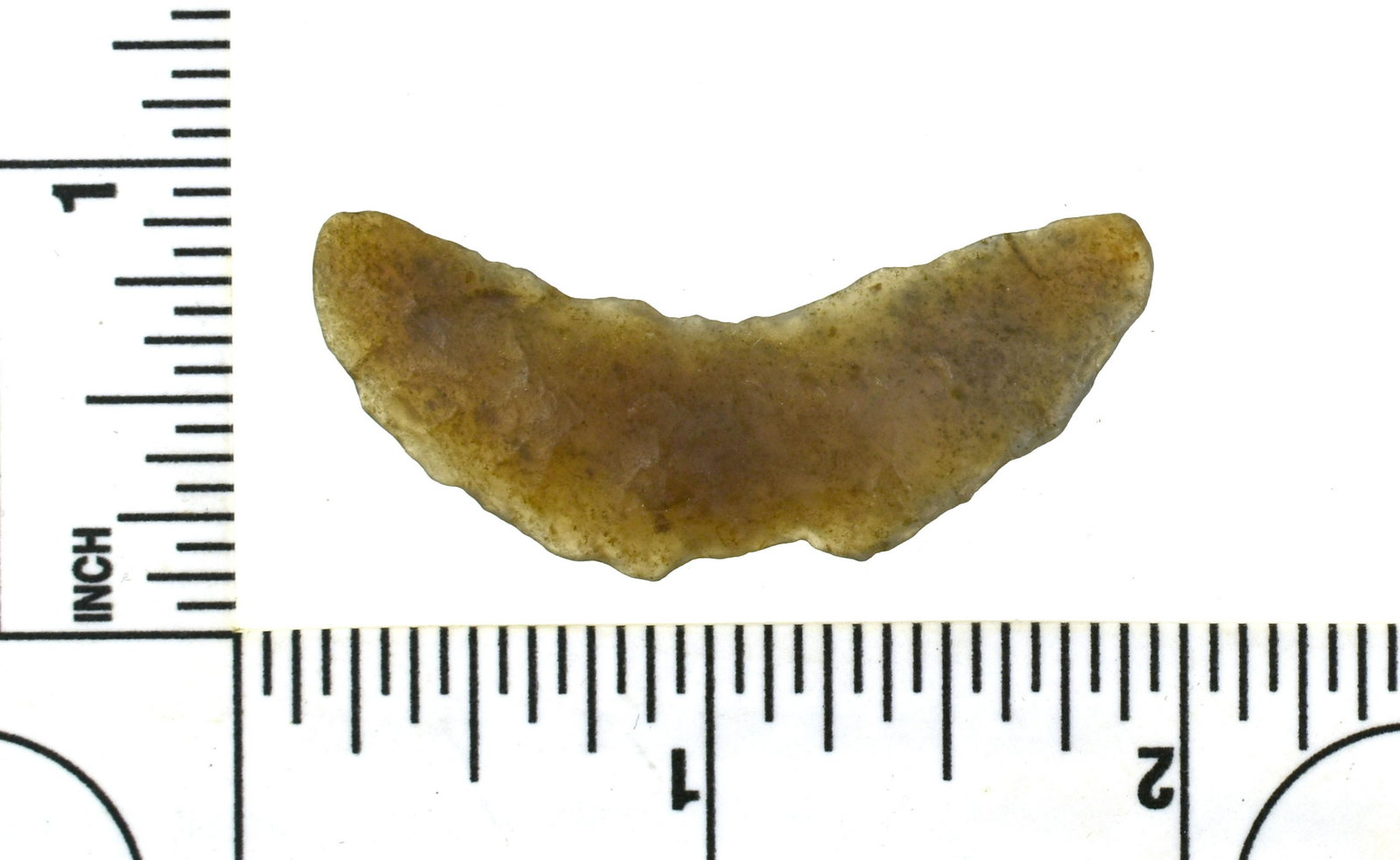 1-3/4" Paleo Butterfly Crescent: Excellent translucent agate example with good wind weathering from the Robert Beckett Ranch Collection from Lassen Co., California.