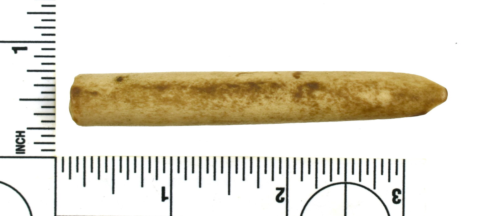 3-3/16" Paleo Beveled Bone Rod: Rare fragmentary Beveled bone rod from the Robert Beckett Ranch Collection from Lassen Co., California. Items similar to these were found with the Richey Clovis Cache in Washington state - those were 