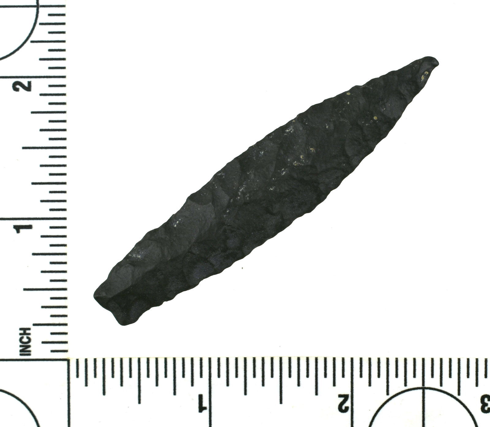 2-15/16" Humboldt: Dacite example from Lassen Co., California. Robert Beckett Estate collection.