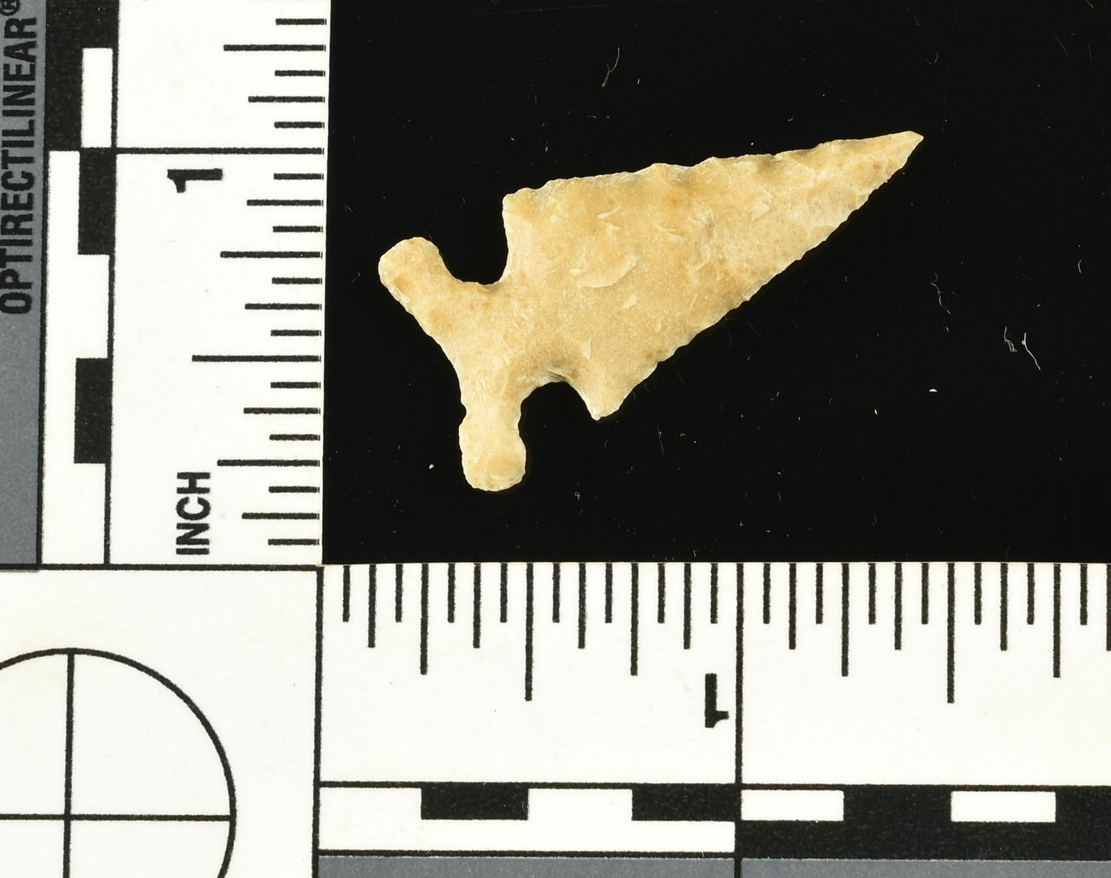 1-5/16" Edwards: Museum grade example in tan fossil chert. Found in South Texas by the Preckwinkle family in the 1980's.