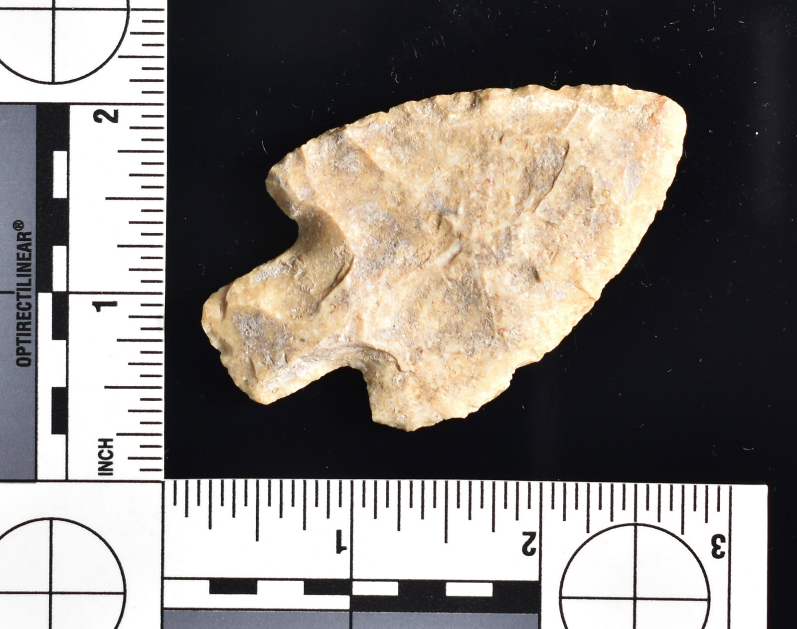 Ultra Thin 2 3/4" Adena Robbins: Very collectible example with great symmetry. If you found it in a field you would be jumping up and down for weeks!!! Made of well patinated creamy tan Fort Payne Chert. Found in Bath Co., Kentucky.
