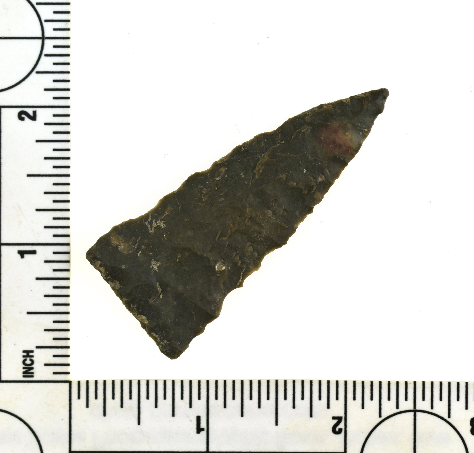 2-1/2" Darl Blade: Nice central Texas point from the Mynning Estate. Nice Caliche.