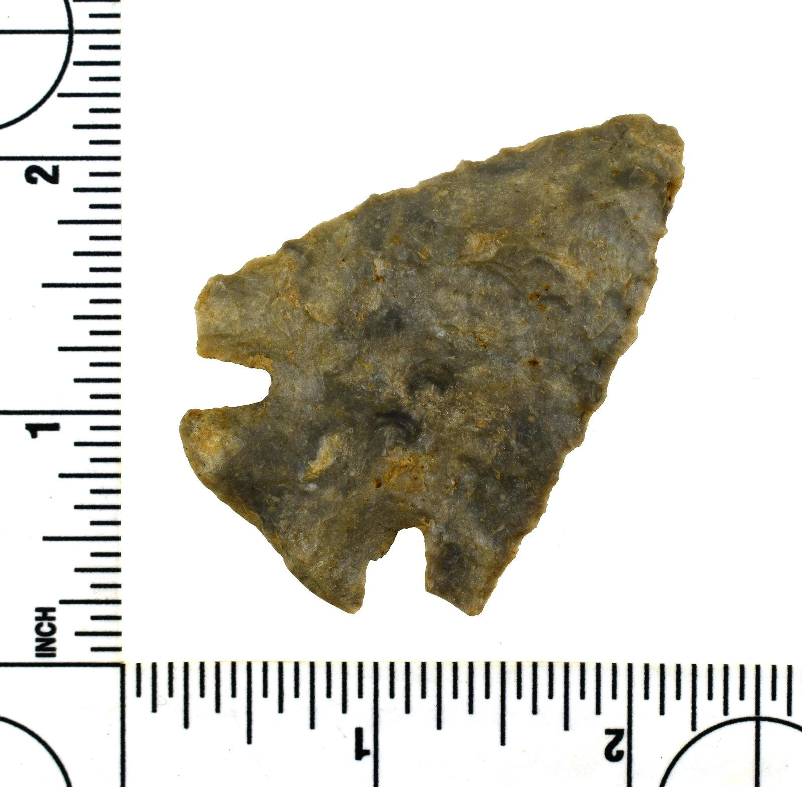2 5/16" Tennessee Clipped Wing Lost Lake: Fine clipped wing form with each tang clipped in opposite directions to better facilitate the haft. Steep bevel with great symmetry and great serrations. Made of glossy well patinated mottled blue, gr