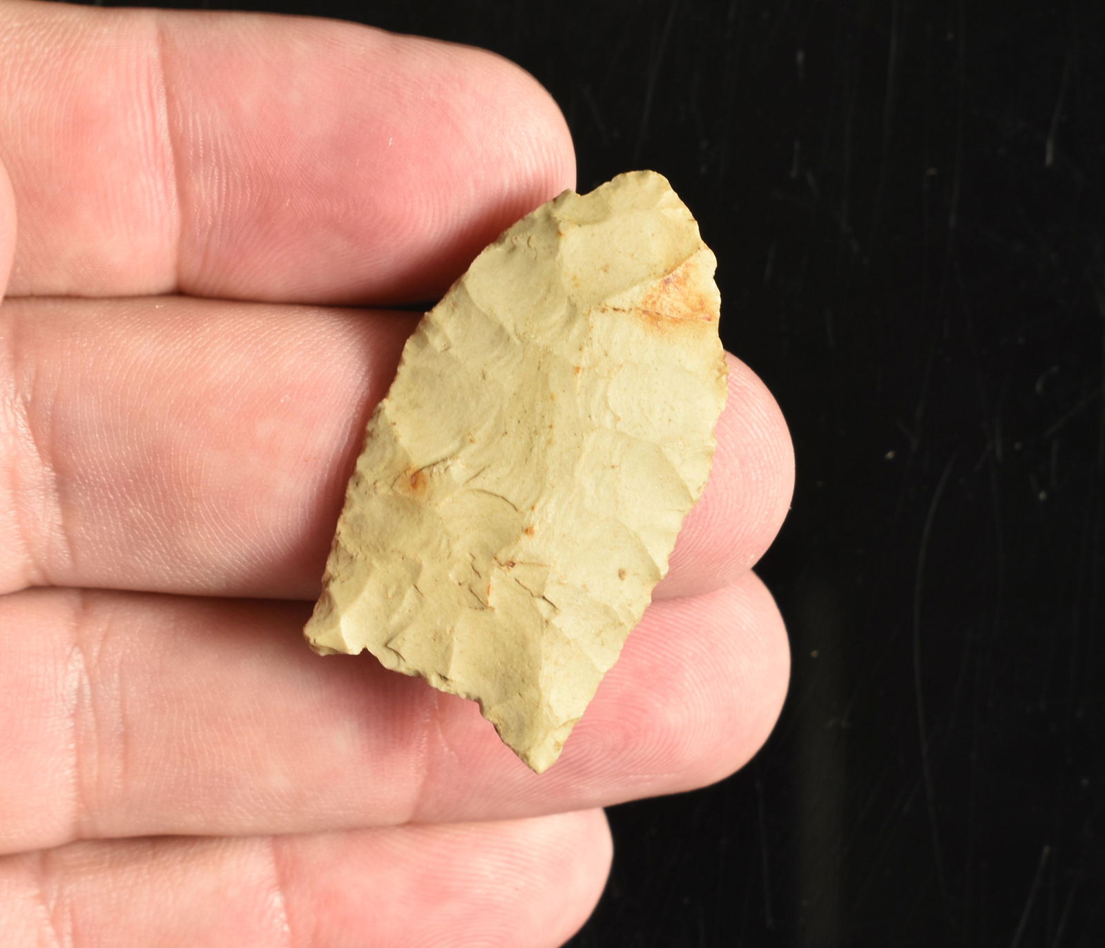 1-5/8" Folsom/Clovis: Nice lightly fluted point in cream camden chert. Stewart Co., Tennessee. From the Sam Swarey Estate Collection. Very thin. Perhaps a Folsomoid instead of Clovis. From the Sam Swarey Estate Collection.