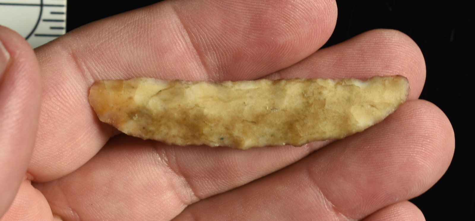 2-7/16" Paleo Crescent: Cream high grade partially translucent chert. Lassen Co., California. Ex Robert Beckett Collection.