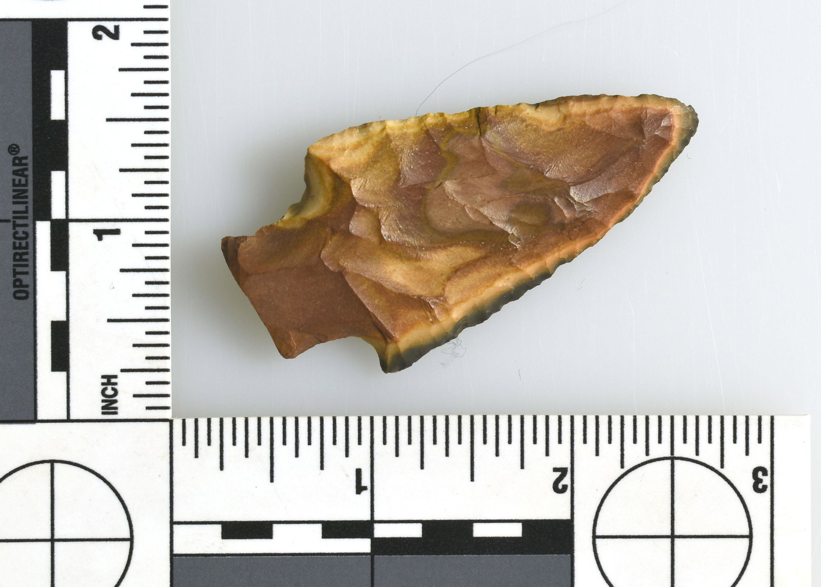 2-1/2" Ledbetter: Horse Creek Chert example from North Central Tennessee. Colorful with good edgework!