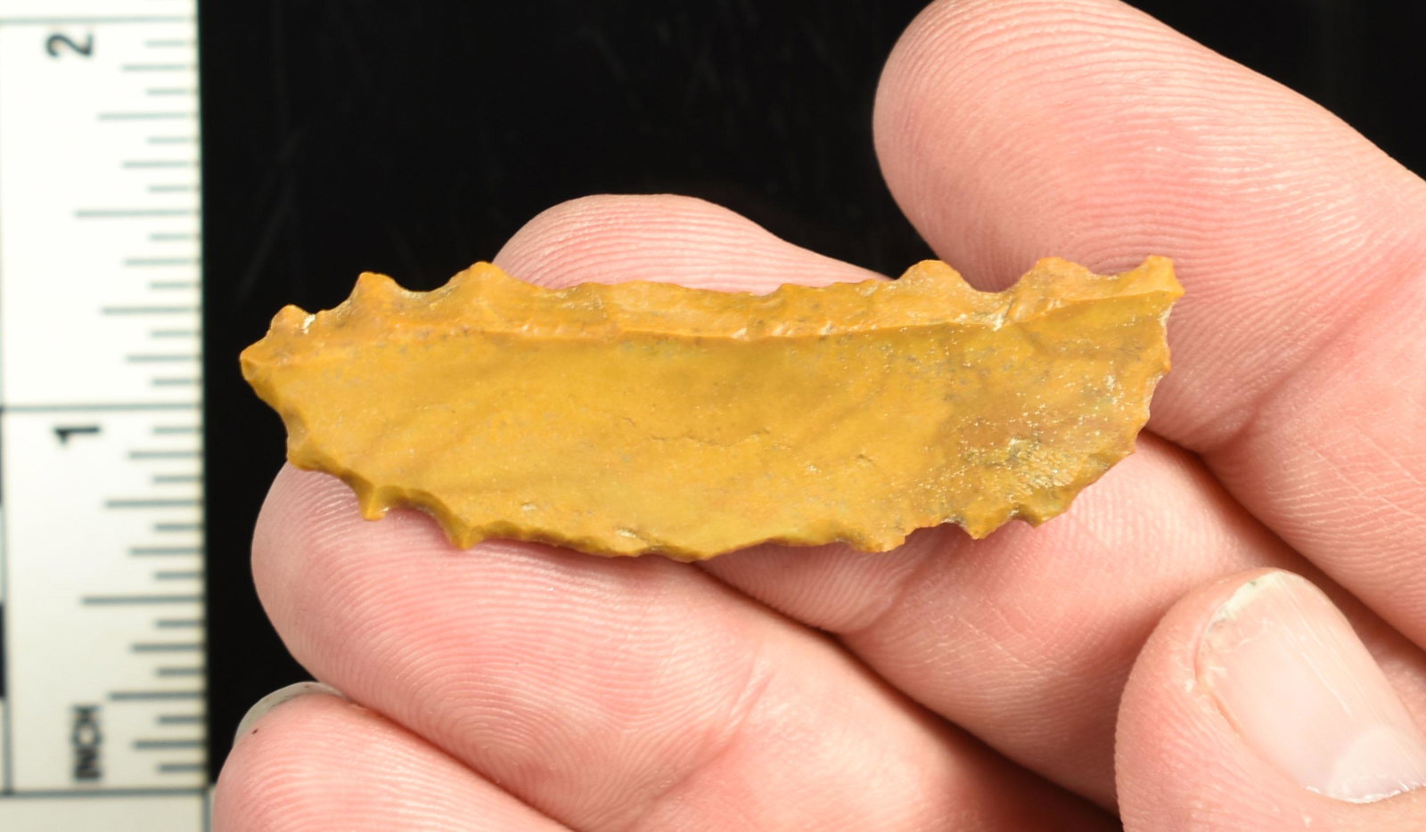 2-1/8" Paleo Crescent (Zoomorphic?): Uniface example with pronounced serrations which may indicate a zoomorphic style. Ex Beckett Collection. Lassen Co., California. Jasper.